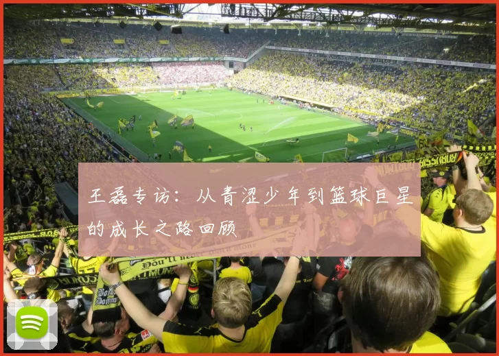 王磊专访:从青涩少年到篮球巨星的成长之路回顾