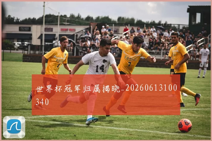 世界杯冠军归属揭晓_20260613100340