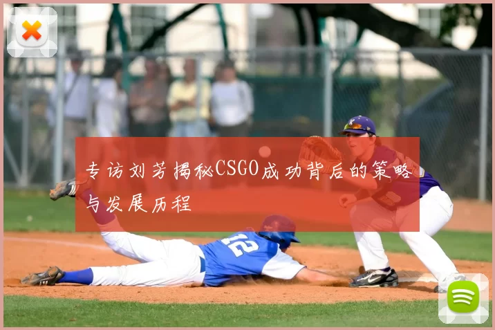 专访刘芳揭秘CSGO成功背后的策略与发展历程