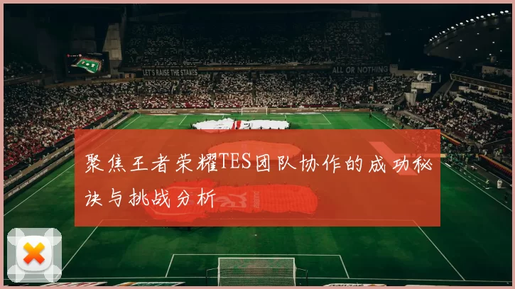 聚焦王者荣耀TES团队协作的成功秘诀与挑战分析