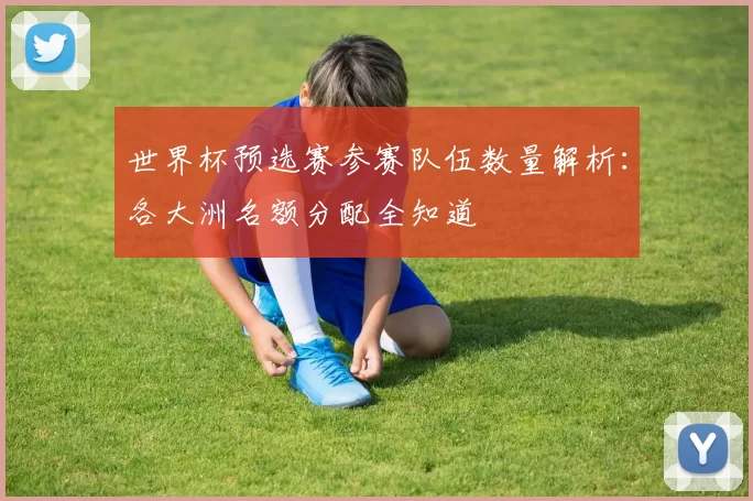 世界杯预选赛参赛队伍数量解析:各大洲名额分配全知道