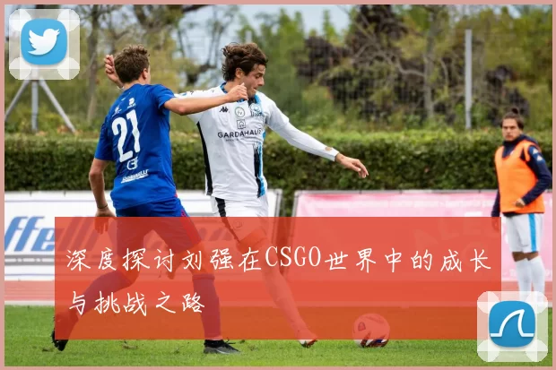 深度探讨刘强在CSGO世界中的成长与挑战之路