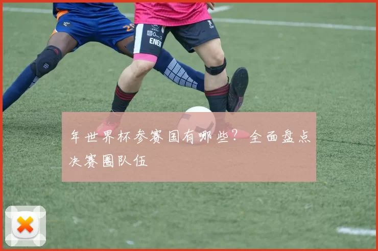 年世界杯参赛国有哪些?全面盘点决赛圈队伍